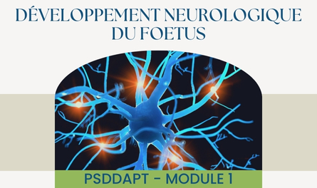 PSDDAPT - Module 1: Développement neurologique du fœtus