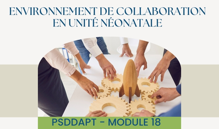 PSDDAPT - Module 18: Environnement de collaboration en unité néonatale