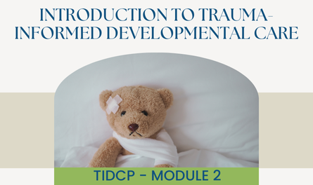 TIDCP - Module 2: Introduction to Trauma-Informed Developmental Care