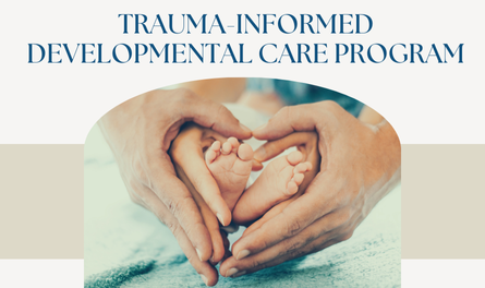 TIDCP©: Trauma-informed developmental care program