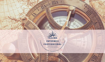 TIDCP: Trauma-informed developmental care program - Free bundle for Caring Essentials